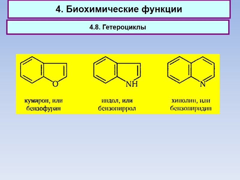 4. Биохимические функции 4.8. Гетероциклы